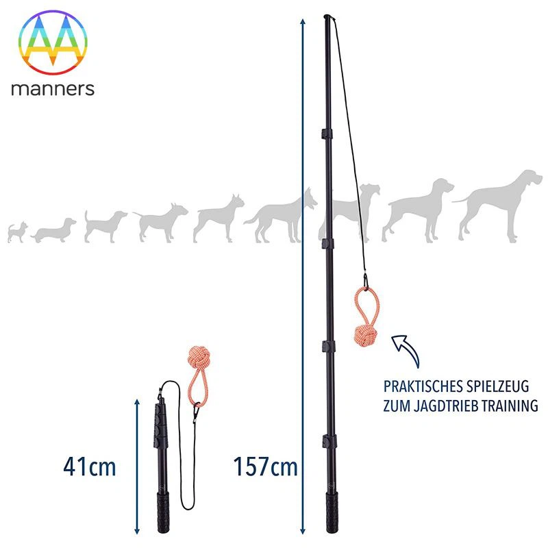 Warum funktioniert ein einziehbarer Katzen-Teaser-Stick für Katzen?